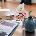 Wohnen Bei Schoergi * Grein